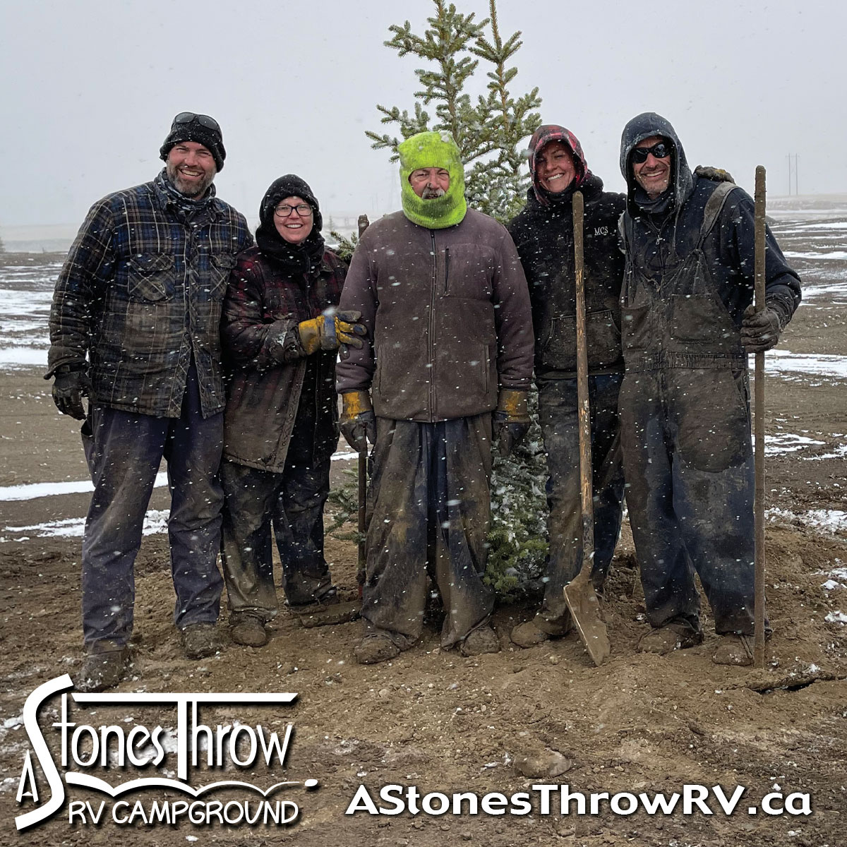 36" Basket Tree Planting Party at A Stones Throw RV Campground Planting over 200 Colorado Green and Blue Spruce Trees!